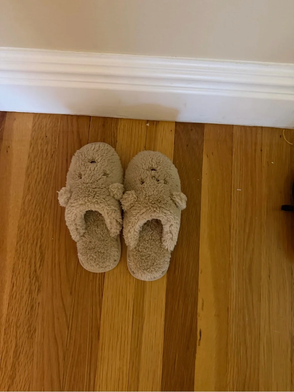 Rylee and Cru Kids Plush Bear Slippers